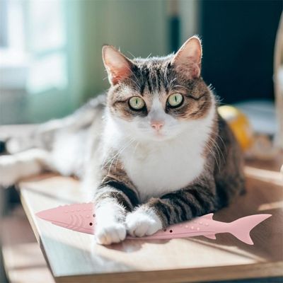 IntiMeg Jouet - brossette à pour chat en forme de poisson