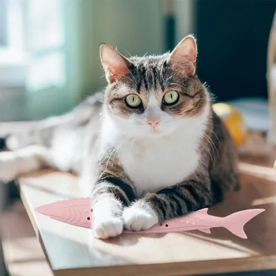 IntiMeg Jouet brosse à dents à l'herbe à chat en forme de poisson
