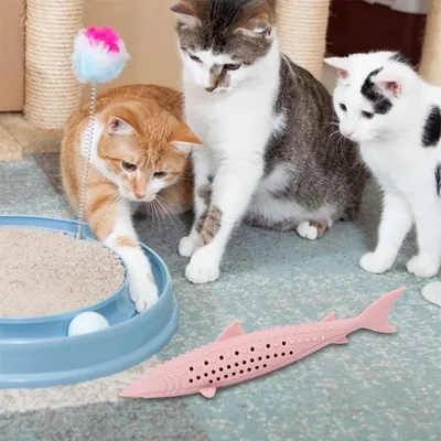 IntiMeg Jouet - brossette à pour chat en forme de poisson