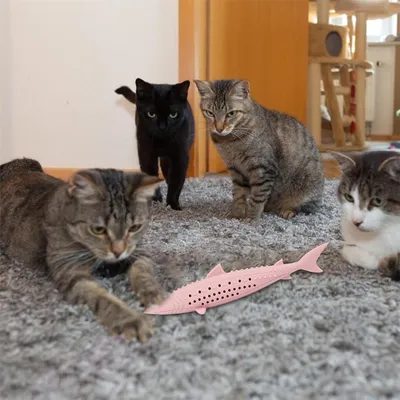 IntiMeg Jouet brosse à dents à l'herbe à chat en forme de poisson