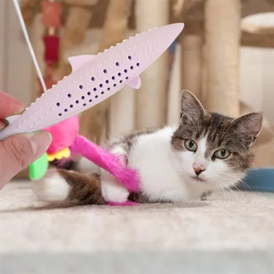 IntiMeg Jouet - brossette à pour chat en forme de poisson