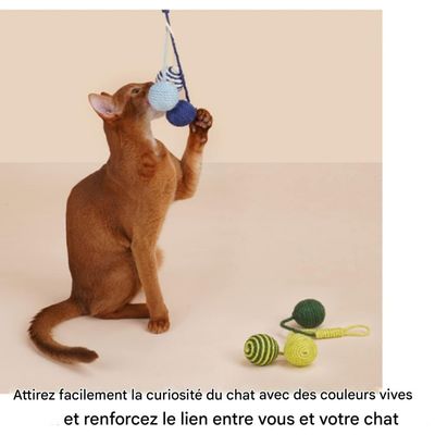 ZooVenture Jouets balles de sisal pour chats