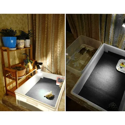 ZooVenture Tapis pour reptiles