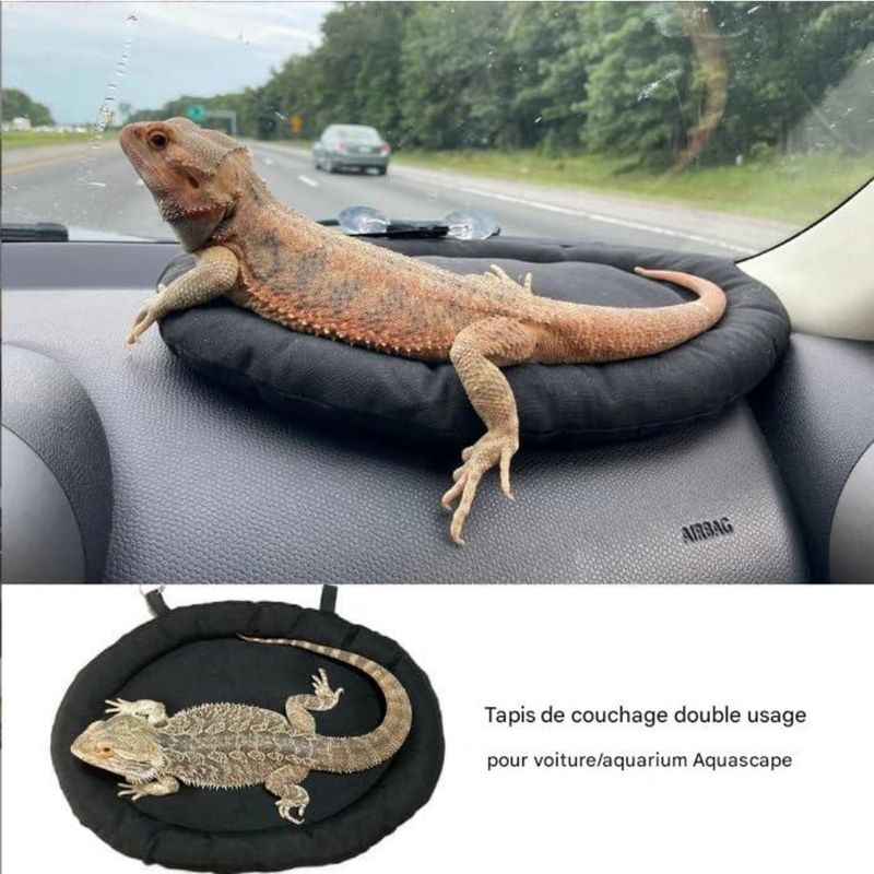 ZooVenture Lit pour dragon barbu