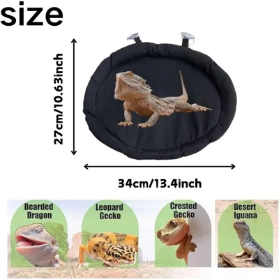 ZooVenture Lit pour dragon barbu