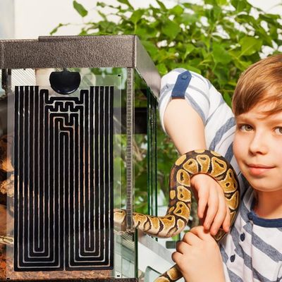ZooVenture Tapis chauffant pour reptiles