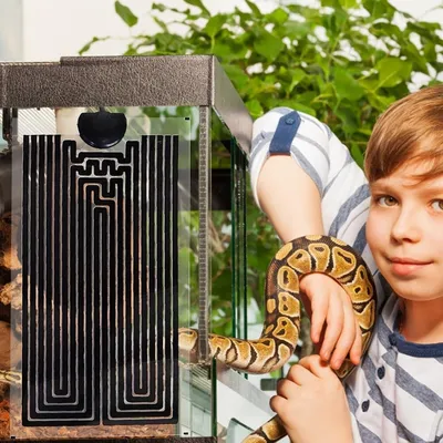 ZooVenture Tapis chauffant pour reptiles