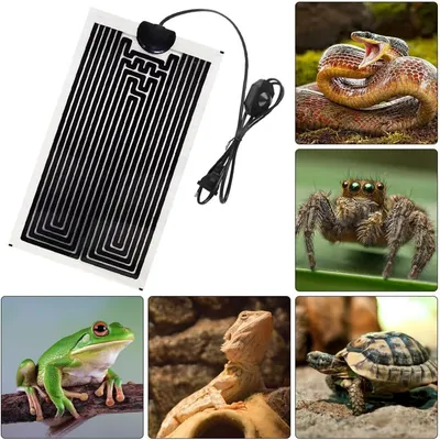 ZooVenture Tapis chauffant pour reptiles