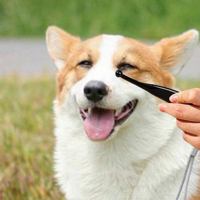Brosse détachante pour les larmes des animaux
