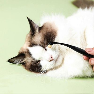 Brosse détachante pour les larmes des animaux