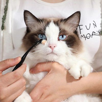 Brosse détachante pour les larmes des animaux