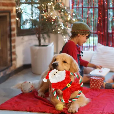 IntiMeg Jouet en peluche de Noël pour chiens