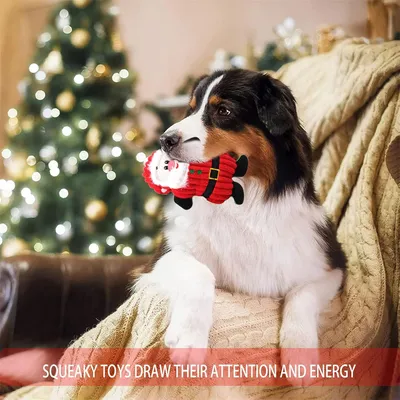 IntiMeg Hund Weihnachtsspielzeug