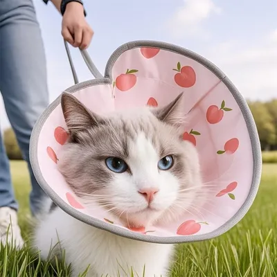 IntiMeg Collar de cono suave anti-lamido para gatos