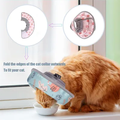 IntiMeg Collier en cône doux pour chat anti - léchage