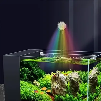 ZooVenture Lumière LED USB pour mini aquarium