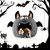 IntiMeg Maison pour cochon d'Inde - Style d'Halloween