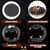 IntiMeg Maison pour cochon d'Inde - Style d'Halloween
