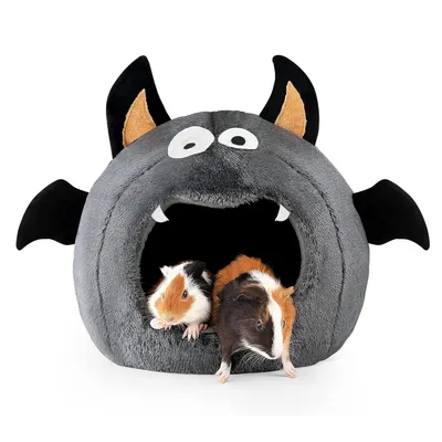 IntiMeg Maison pour cochon d'Inde - Style d'Halloween