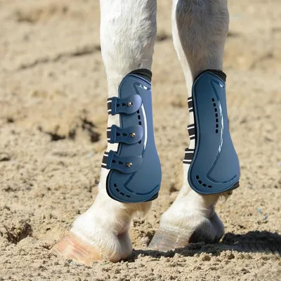 ZooVenture Lot de brushing boots pour cheval