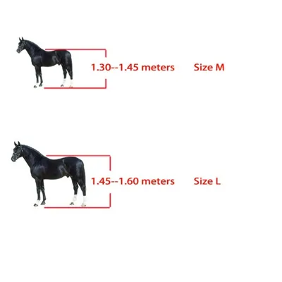 ZooVenture Lot de brushing boots pour cheval