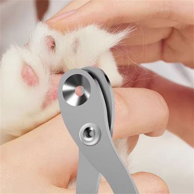 IntiMeg Tondeuse à griffes pour chats