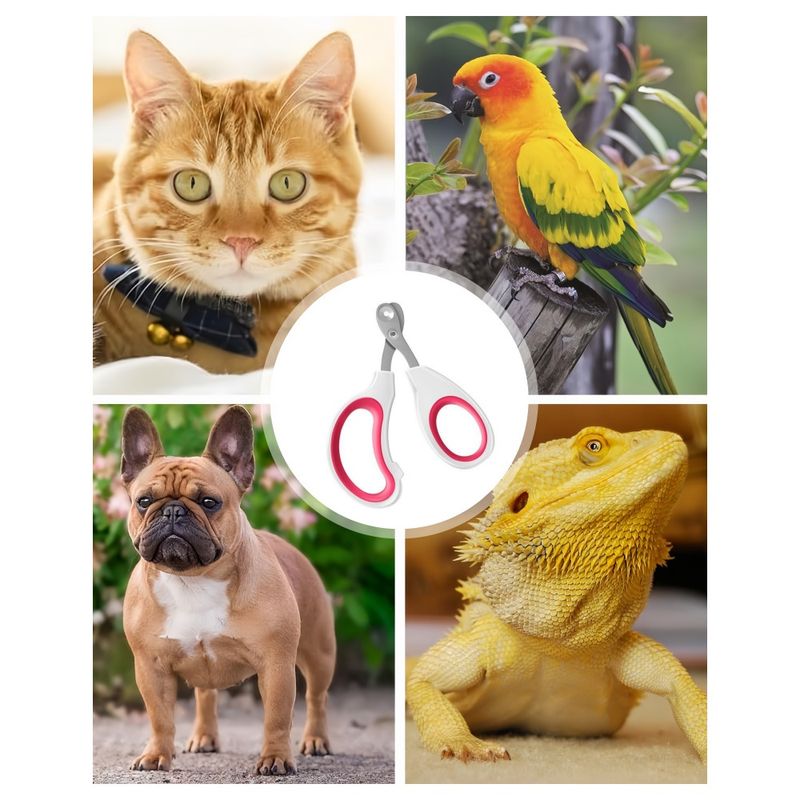 IntiMeg Tondeuse à griffes pour chats