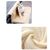 IntiMeg Hamac de radiateur Relax pour chat,Beige