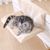 IntiMeg Hamac de radiateur Relax pour chat,Beige