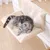 IntiMeg Hamac de radiateur Relax pour chat,Beige