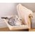IntiMeg Hamac de radiateur Relax pour chat,Beige