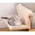 IntiMeg Hamac de radiateur Relax pour chat,Beige