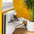 IntiMeg Hamac de radiateur pour chat,Blanc