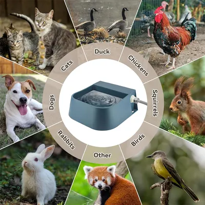 IntiMeg Gamelle d'eau adapté aux chats, chiens et animaux de la ferme