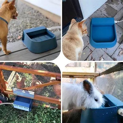 IntiMeg Gamelle d'eau adapté aux chats, chiens et animaux de la ferme