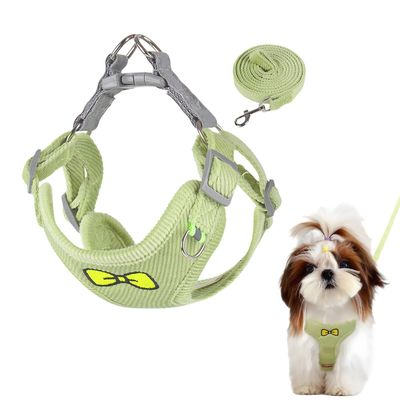 FurryFusion Ensemble de laisses pour chat et chien