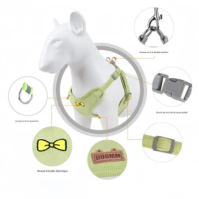 FurryFusion Ensemble de laisses pour chat et chien