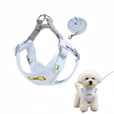 FurryFusion Ensemble de laisses pour chat et chien