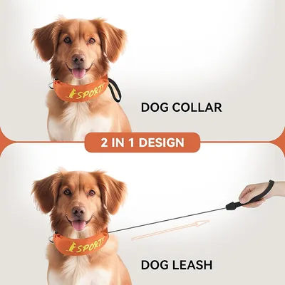 IntiMeg Collier et laisse intégrés