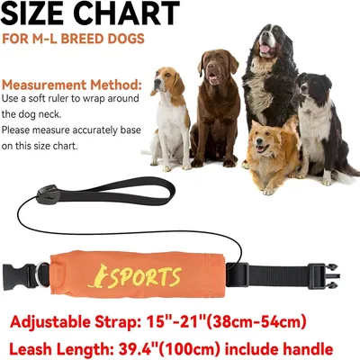 IntiMeg Collier et laisse intégrés