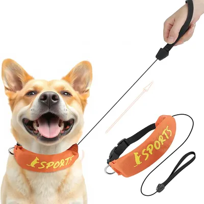 IntiMeg Collier et laisse intégrés