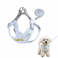 FurryFusion Ensemble de laisses pour chat et chien