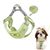 FurryFusion Ensemble de laisses pour chat et chien