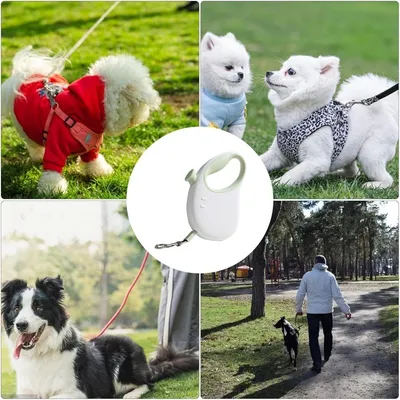 ZooVenture Corde de traction télescopique pour chiens