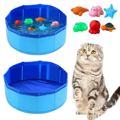 IntiMeg Baignoire pliable et jouets en gélatine pour chien et chat