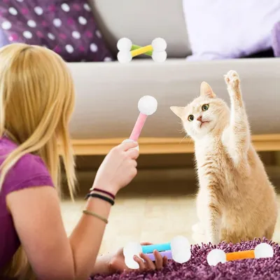 ZooVenture Ensemble de 6 jouets à catnip pour chats