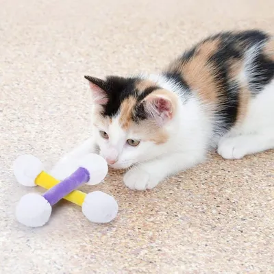 ZooVenture Ensemble de 6 jouets à catnip pour chats