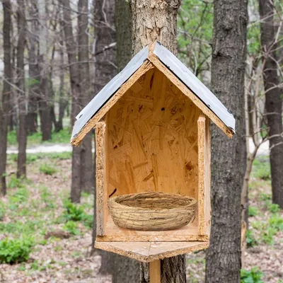 ZooVenture Nid d'élevage en paille pour oiseaux