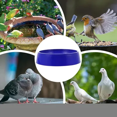 ZooVenture Juego de 8 cuencos de plástico reutilizables para palomas