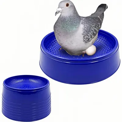 ZooVenture Juego de 8 cuencos de plástico reutilizables para palomas